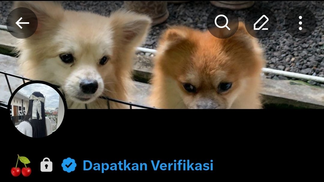 Lau 𐙚 ּ ֶָ֢. tweet media