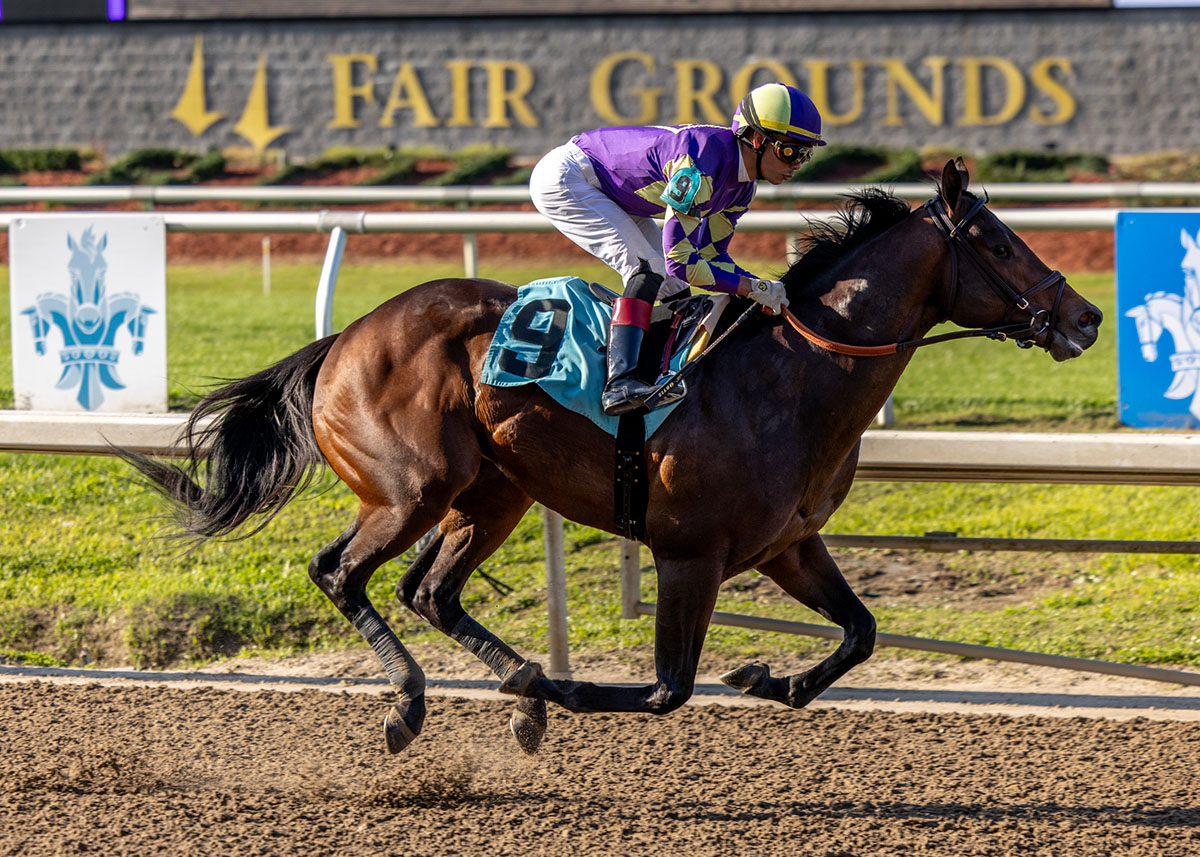 Fasig-Tipton tweet media