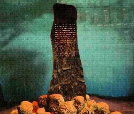 ChewieSTAN tweet media