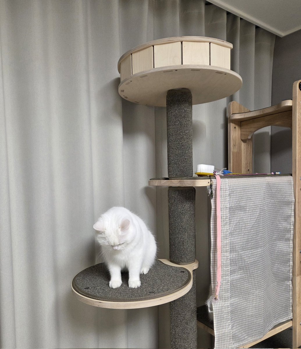 구름호빵이네 ₍˄·͈༝·͈˄₎◞ ̑̑ෆ tweet media