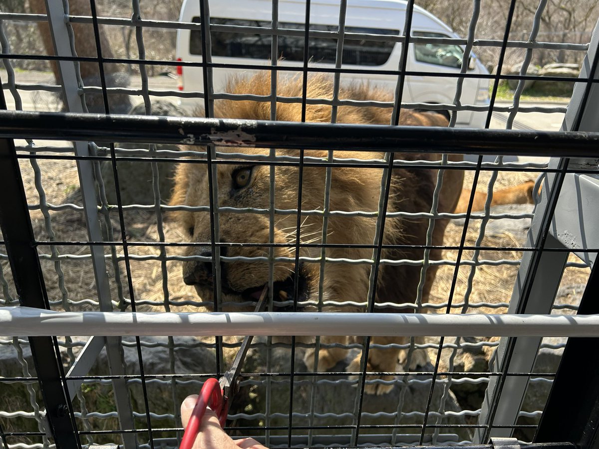 はやぱん tweet media