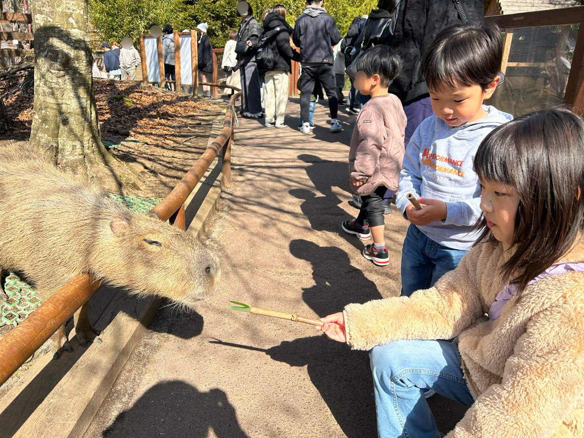 はやぱん tweet media