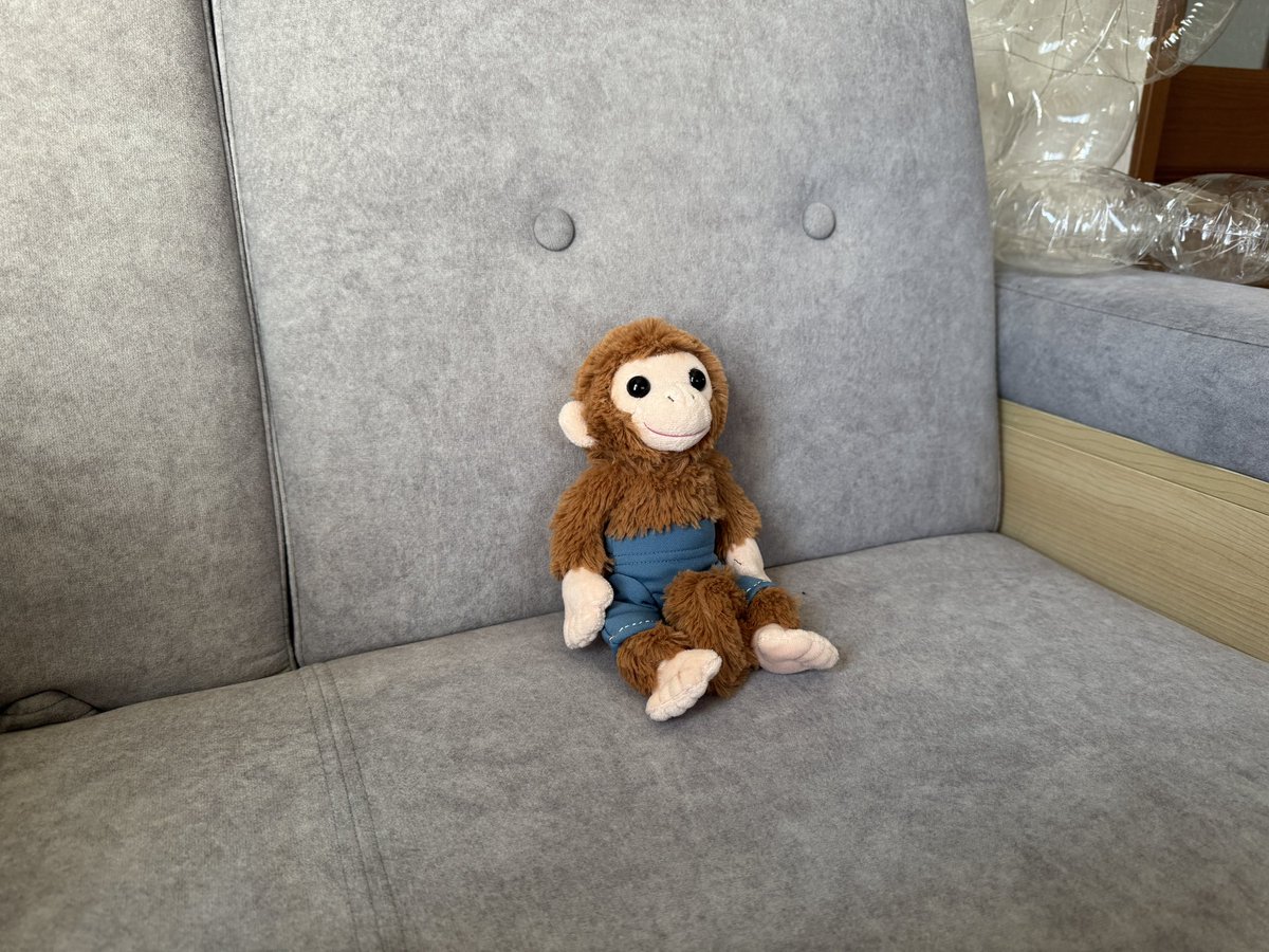 MicchiVlog/ミッチーブログ tweet media