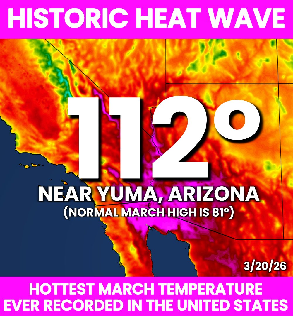 Matt Devitt tweet media