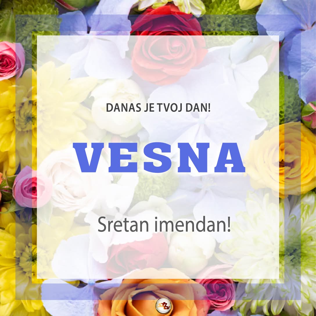 Vesna Hodak🇭🇷 tweet media