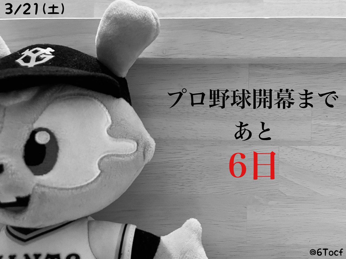 ただの野球好き tweet media