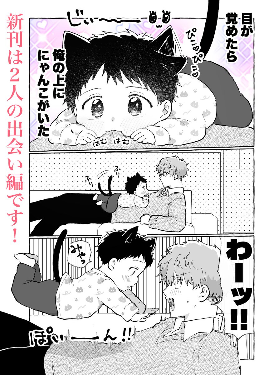 殻似コモル@J庭ふ41a tweet media