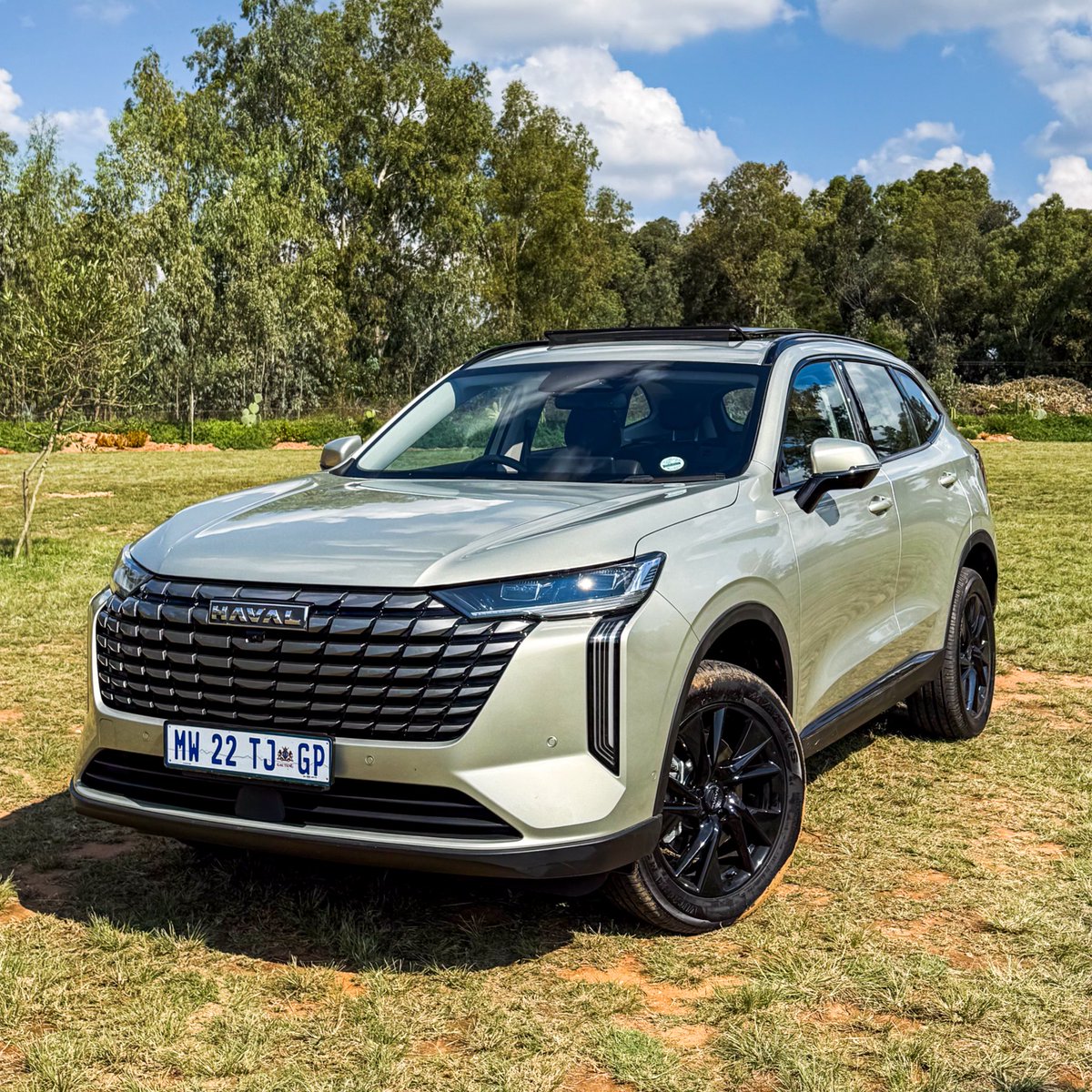 Papi Mabele tweet media