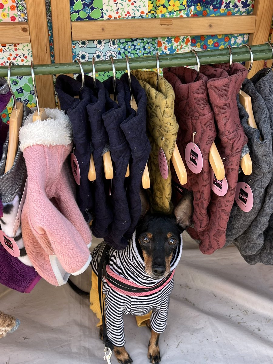 wintergreen tweet media