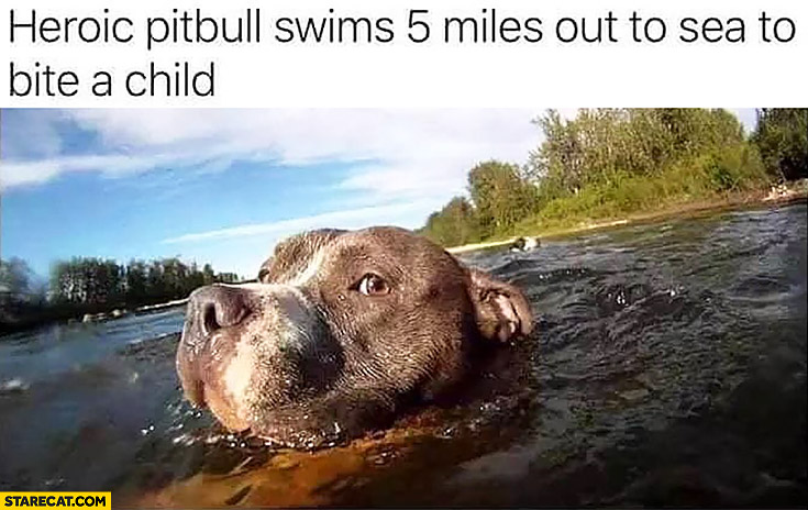 Ozzie Bilotta tweet media