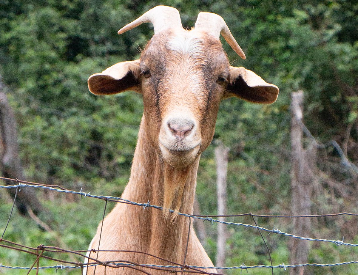 stereovaikutelma tweet media