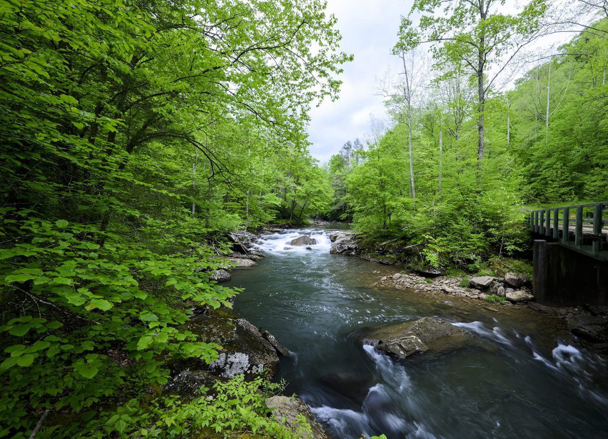 Jonathan Martin tweet media