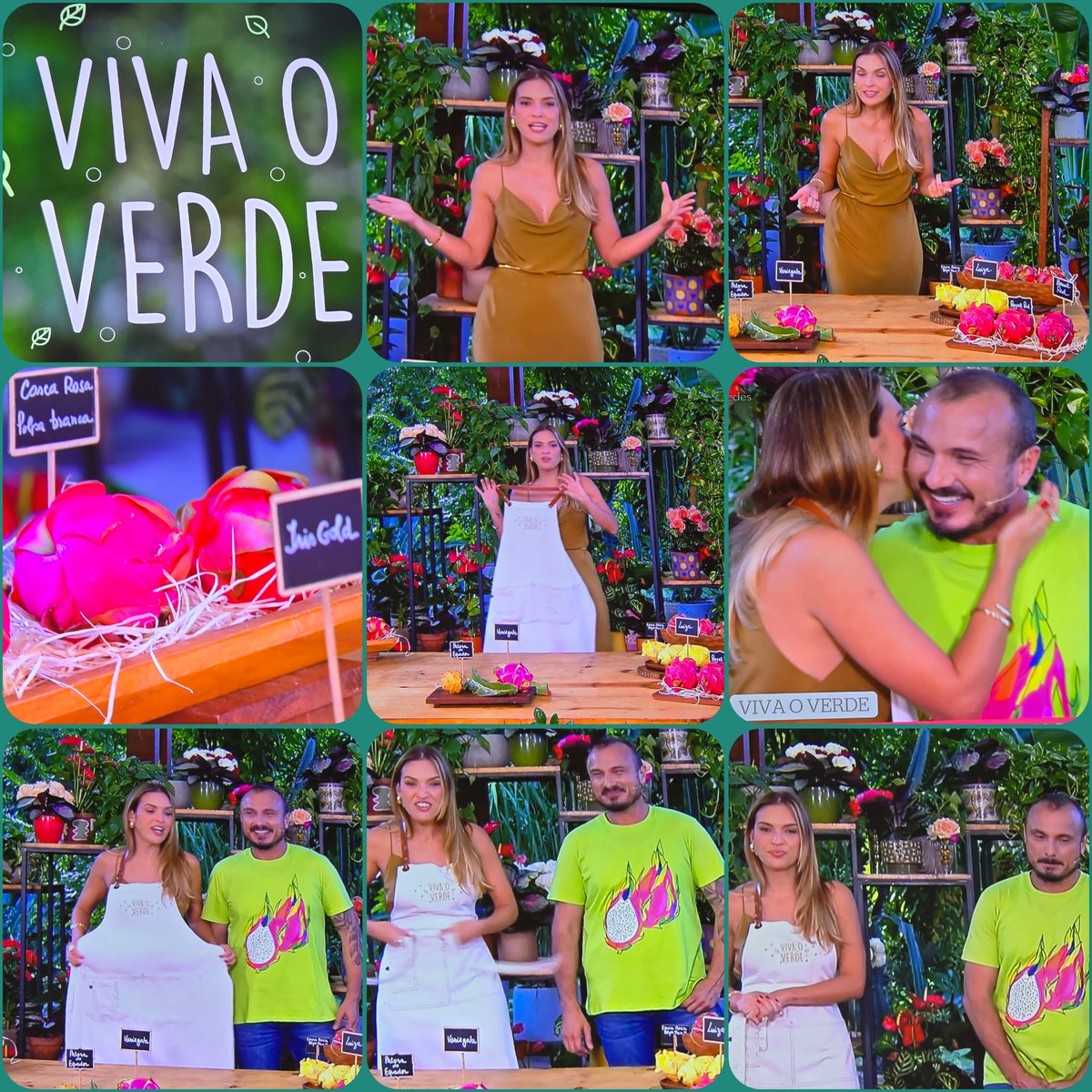 Gosta de pitaia? Hoje é a fruta da vez no #VivaOVerde com a #DuplaVerde. Vamos ver como plantar, cuidar, regas, manutenção e tudo mais. Não é só bonita ... é deliciosa também? Madura é saborosa. 👏👏👏<a href="/Talitha_Morete/">Talitha Morete</a> <a href="/musoares1979/">Murilo A Soares</a> #EDeCasa #EDeCasaNasRedes