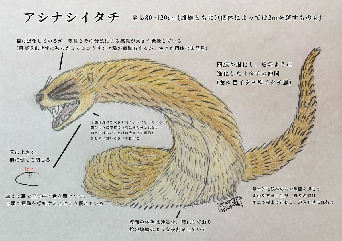 ドレッドハン創作物置き場 tweet media