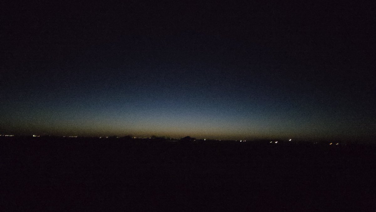 Shelby Jones tweet media