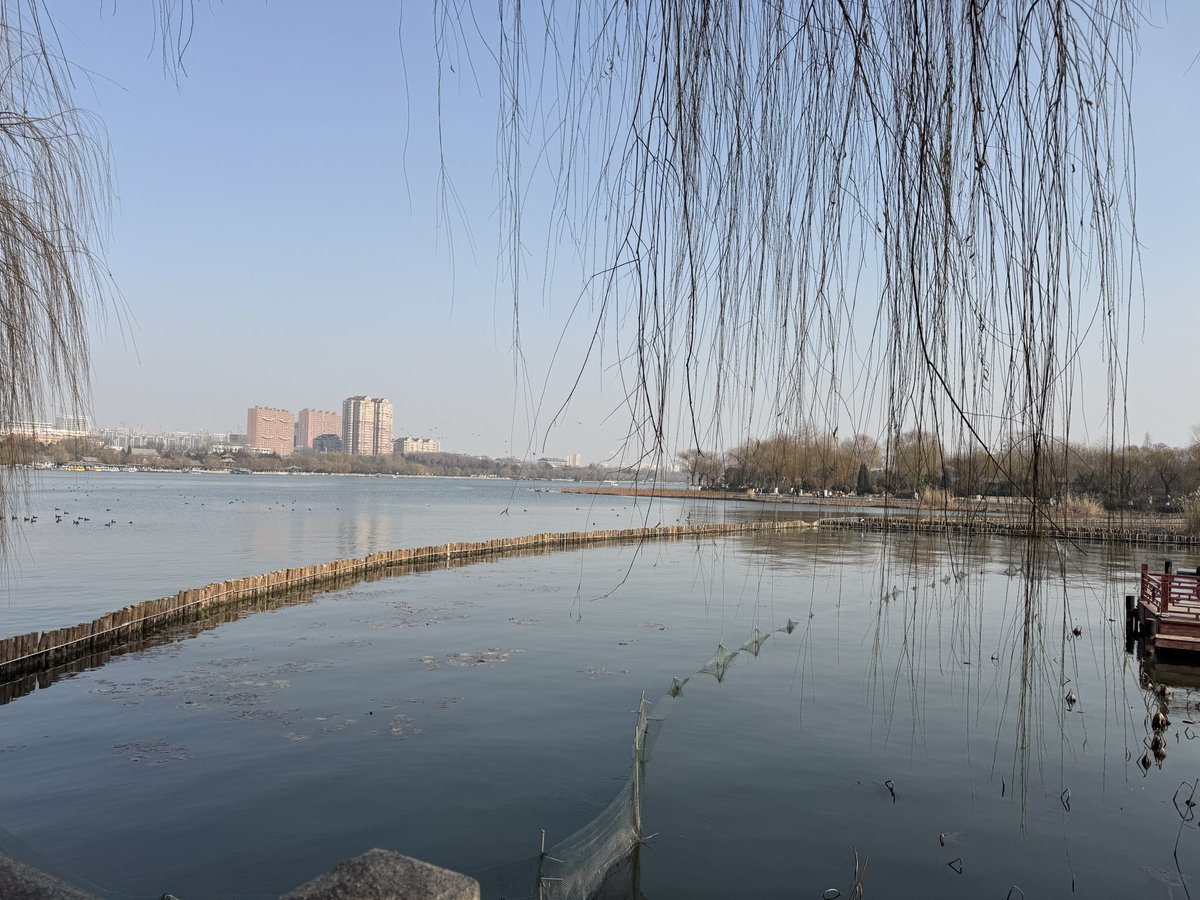 ちゃりん@諦めないぞサブ3.5🔥 tweet media