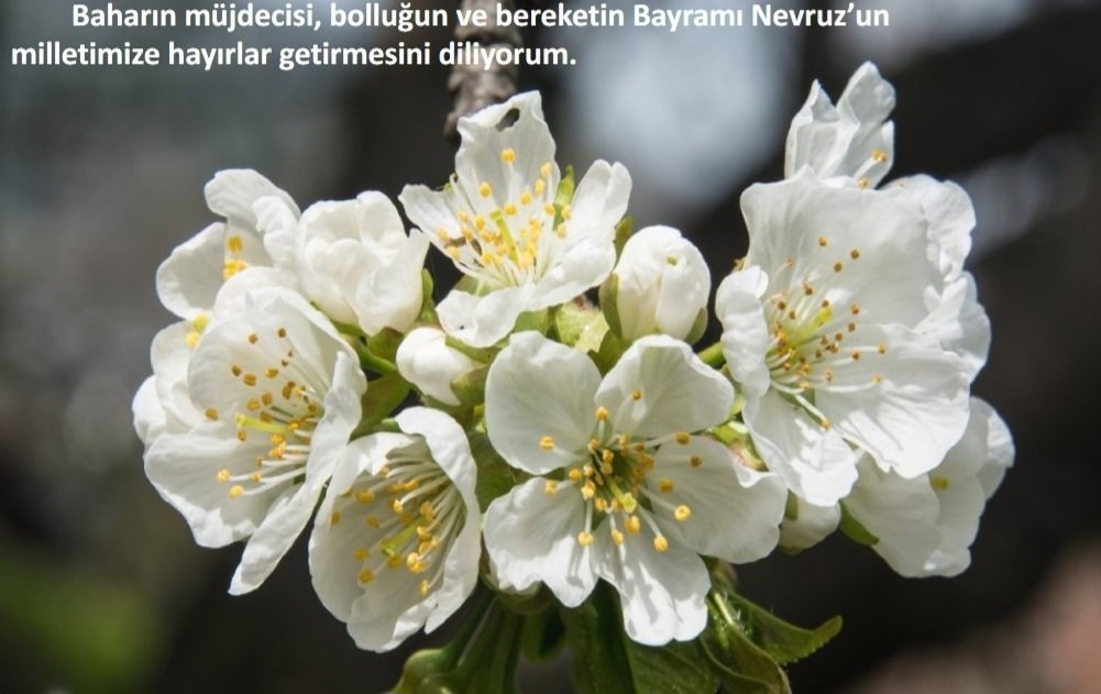 Derya Kaytan tweet media