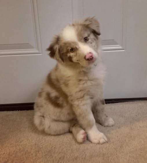 Sara Mary ⭐❤️ tweet media