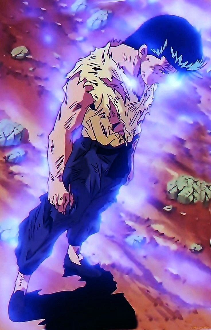 Yu Yu Hakusho Perfect Shots tweet media