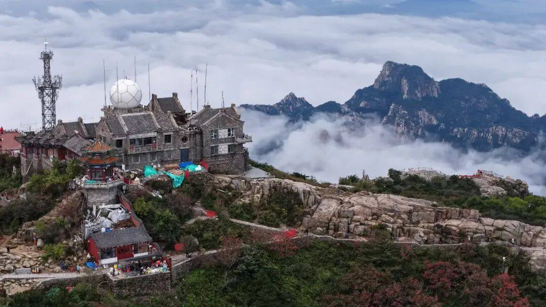 Swim Fish tweet media