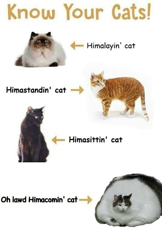 Papa Woof und Krampus und Bleaken tweet media