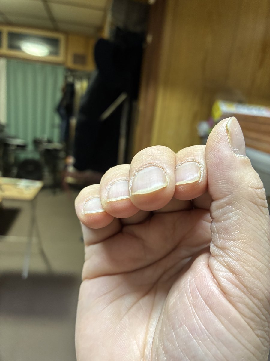 クマロボ tweet media