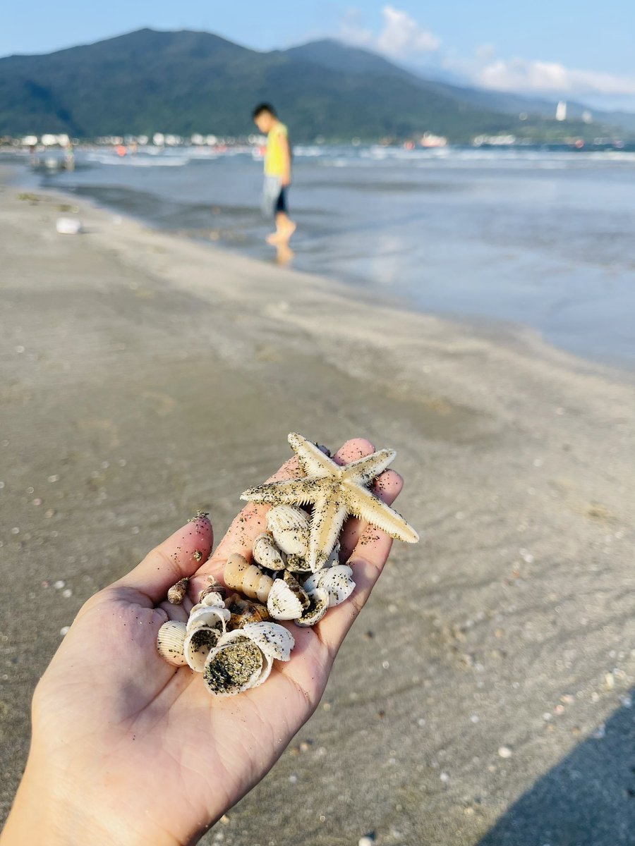 Thanh Hương | Rosie tweet media