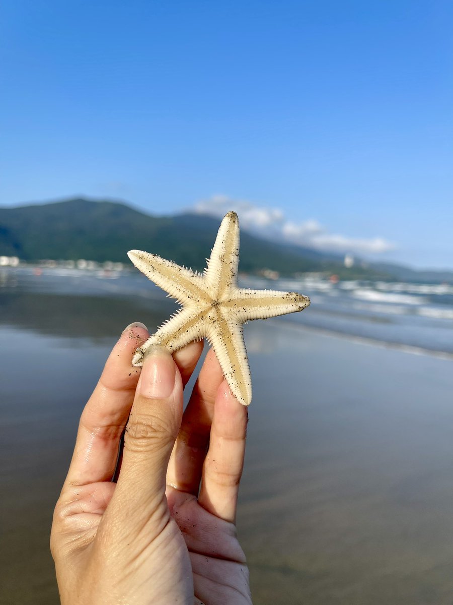 Thanh Hương | Rosie tweet media