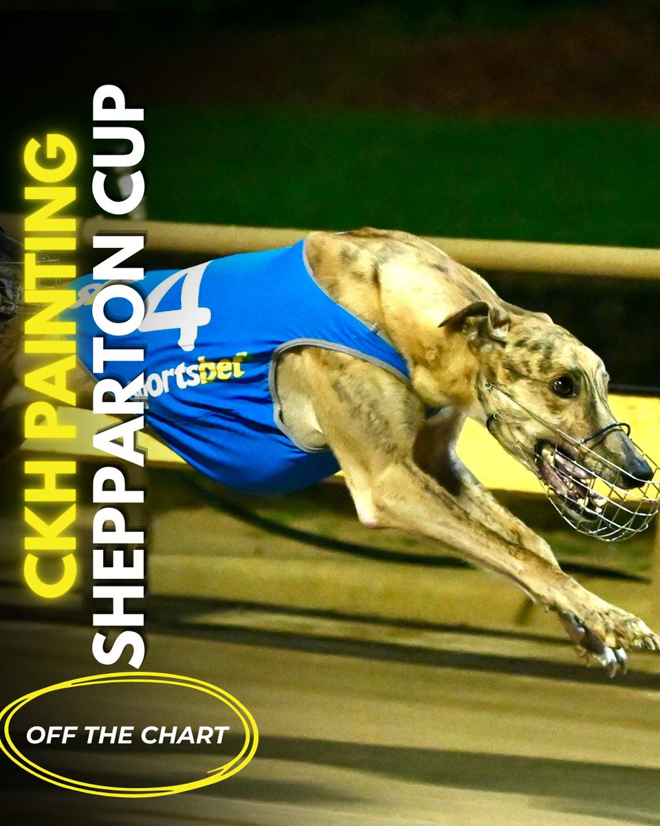 WatchDog Racing tweet media