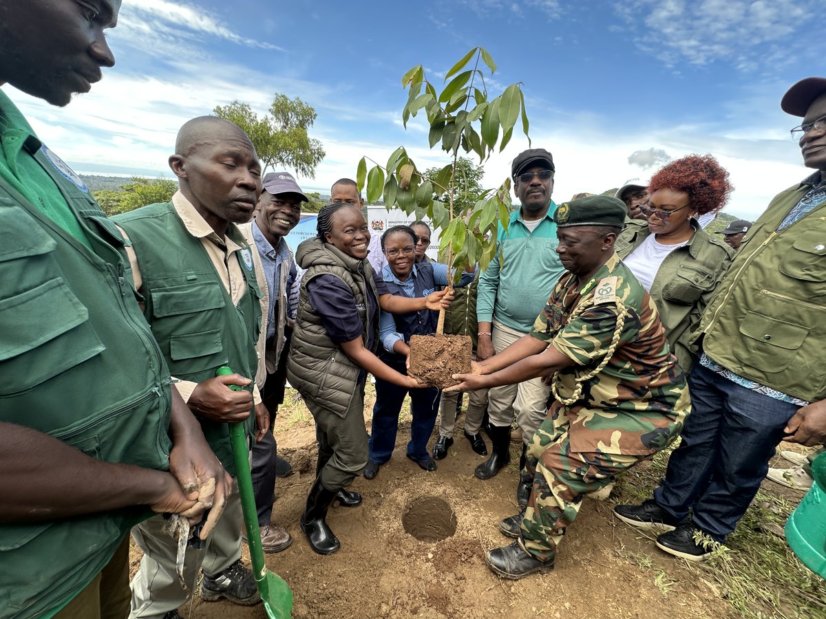 FAO in Kenya tweet media