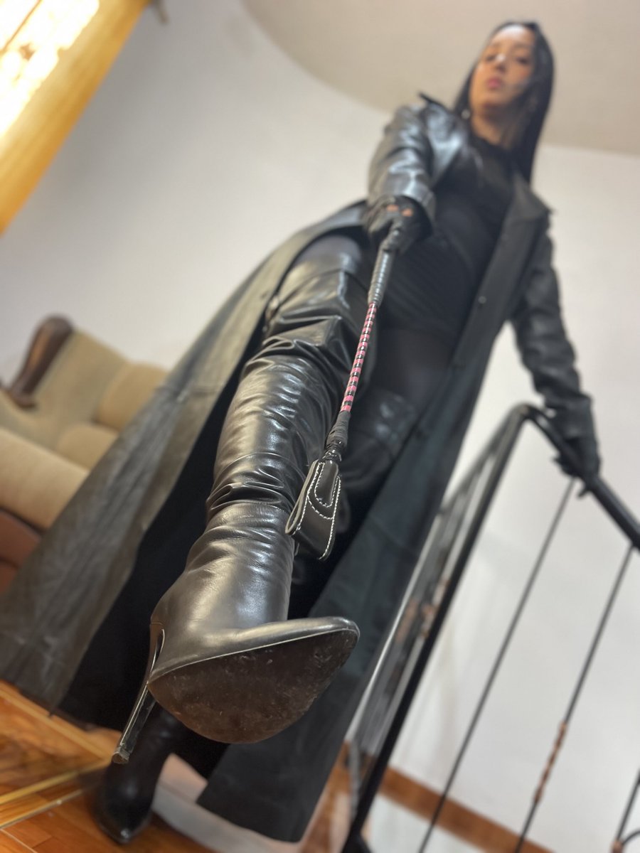 Echetlaeus tweet media