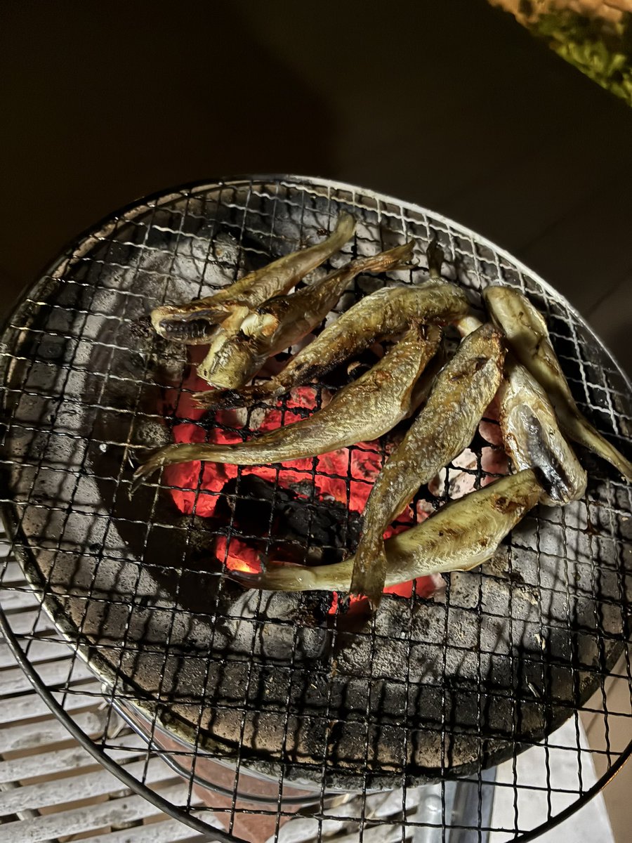 サメ子ちゃん_TAKUMAX#104 tweet media