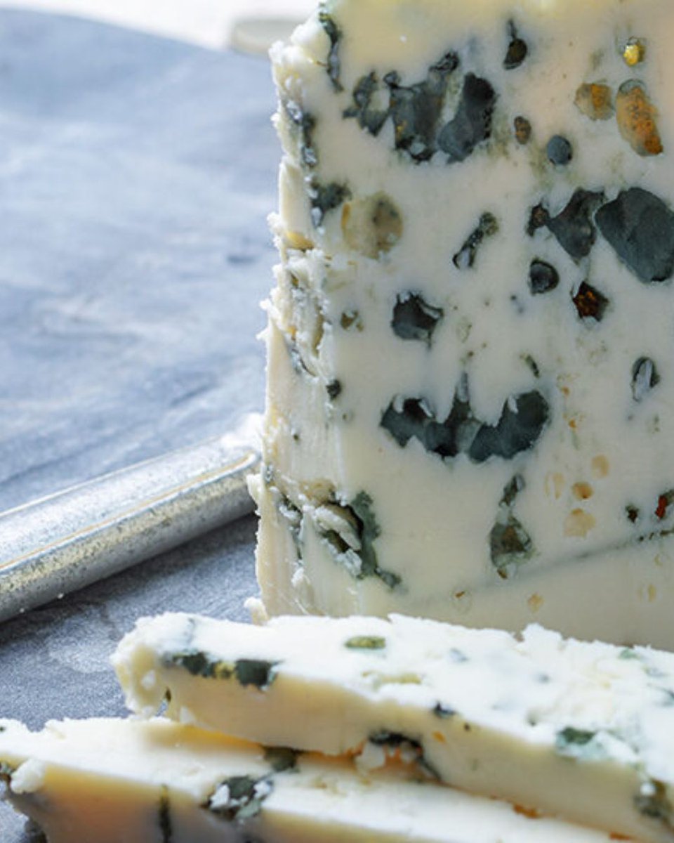 Pong Cheese tweet media