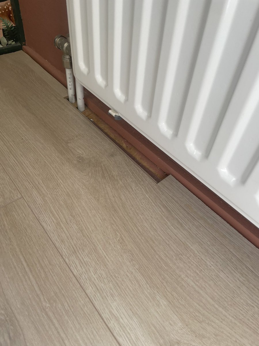 Gerdien Lagemaat tweet media