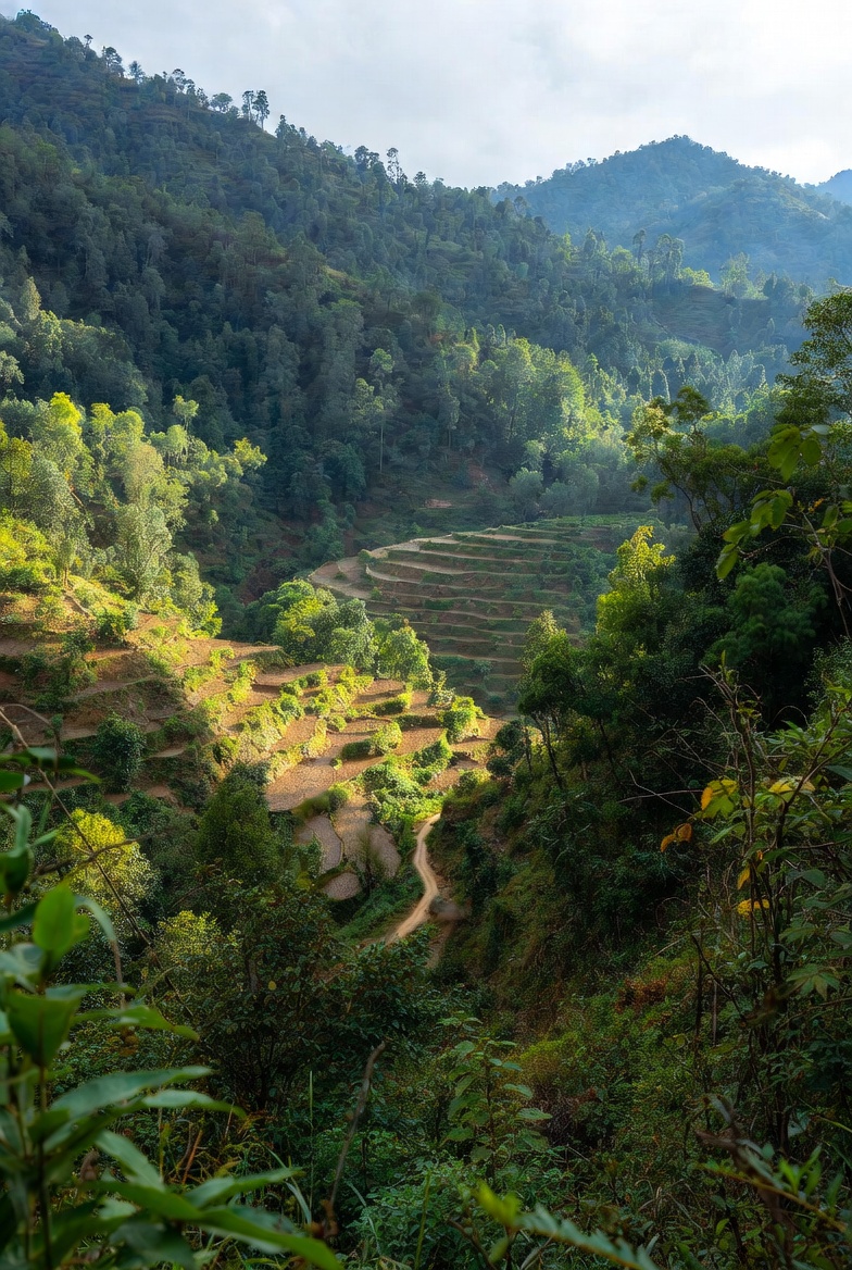 HealthAsia tweet media