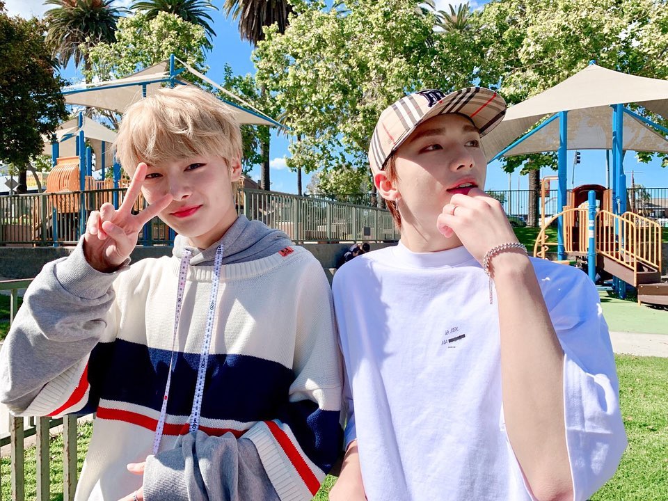 🐥비타오백💛 tweet media