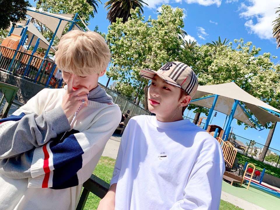 🐥비타오백💛 tweet media