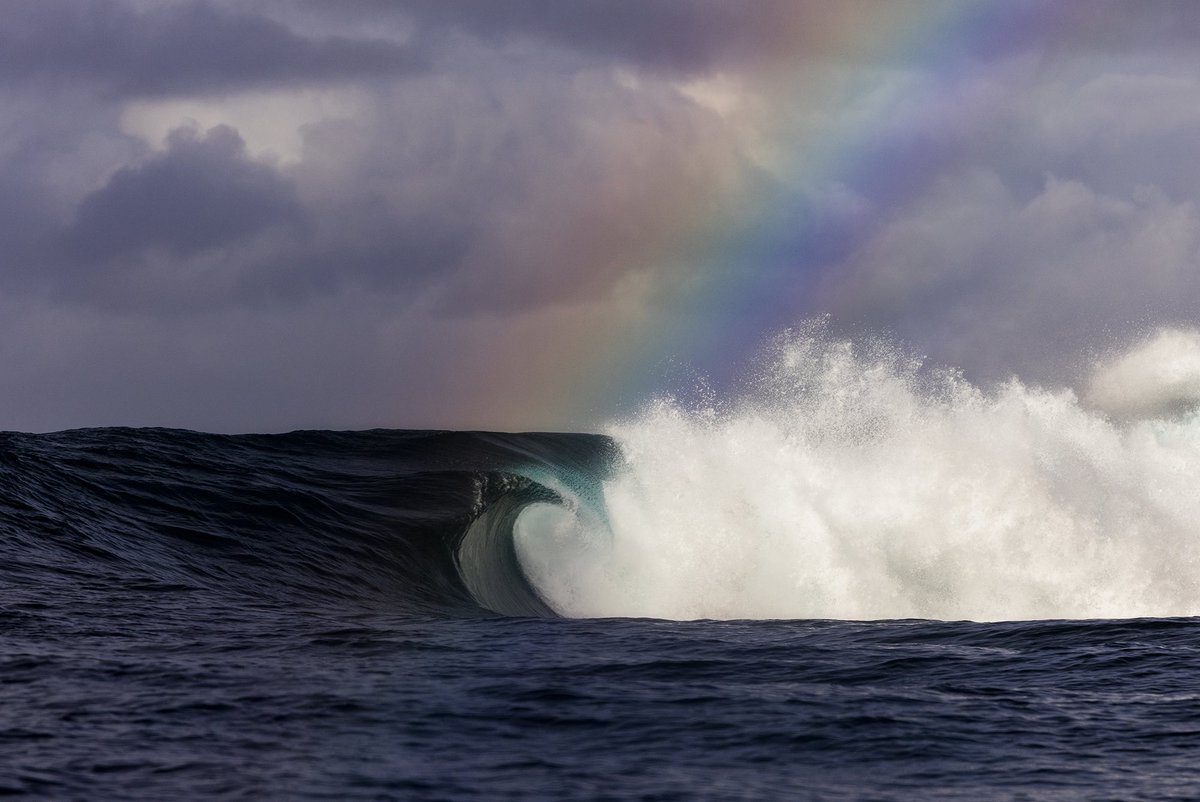 G Rainer tweet media