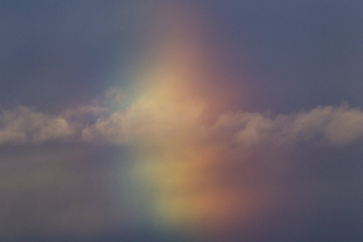 G Rainer tweet media