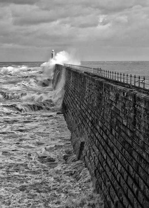 literland tweet media