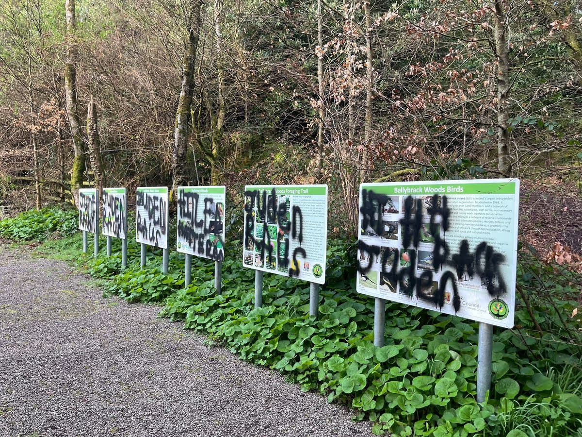 Combat Antisemitism Movement tweet media