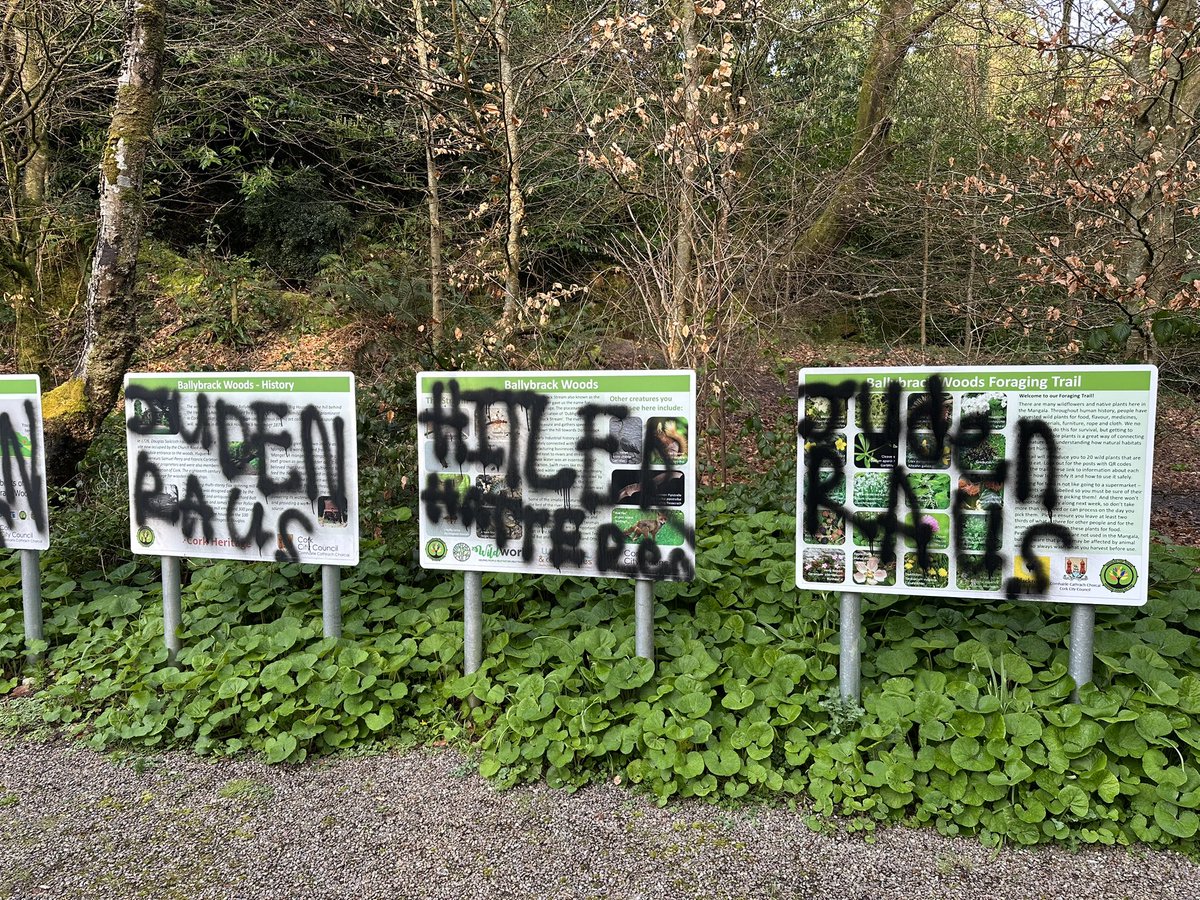 Combat Antisemitism Movement tweet media