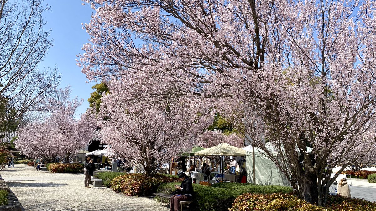 あたるの tweet media