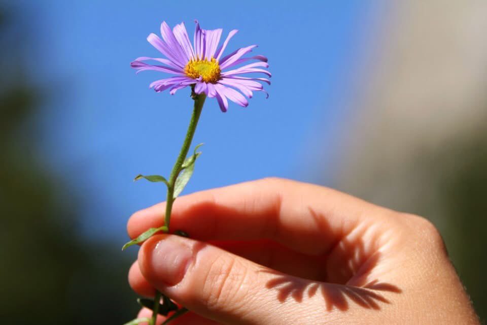 Bayram; 
Sıcacık bir gülümseme, 
Kısacık bir mesaj,
Bir kucak sevgi, 
Hasret dolu bir kucaklaşmadır.

Bayram; paylaşmaktır, dayanışmaktır.
İyi bayramlar!