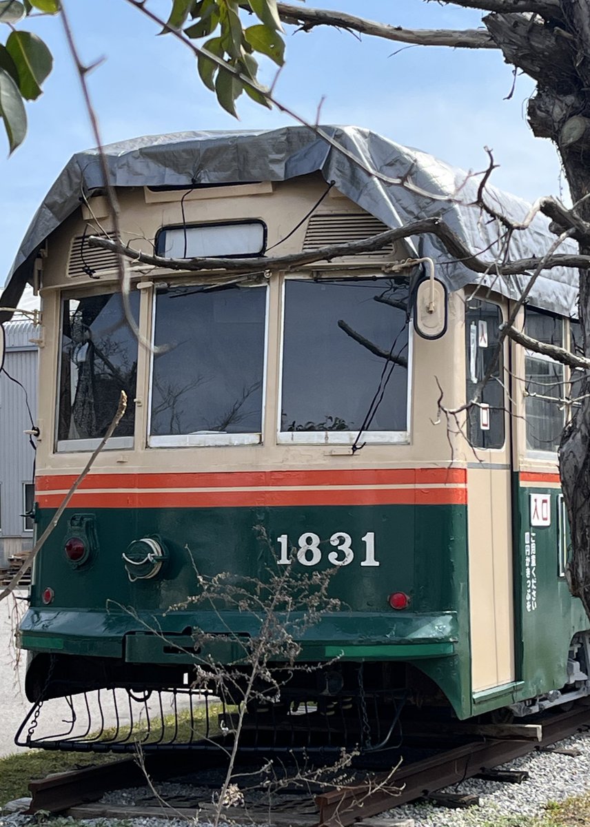 オオゼキタク tweet media