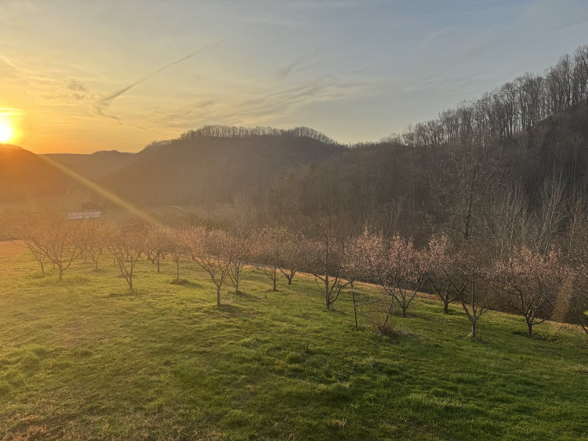 Thomas Massie tweet media