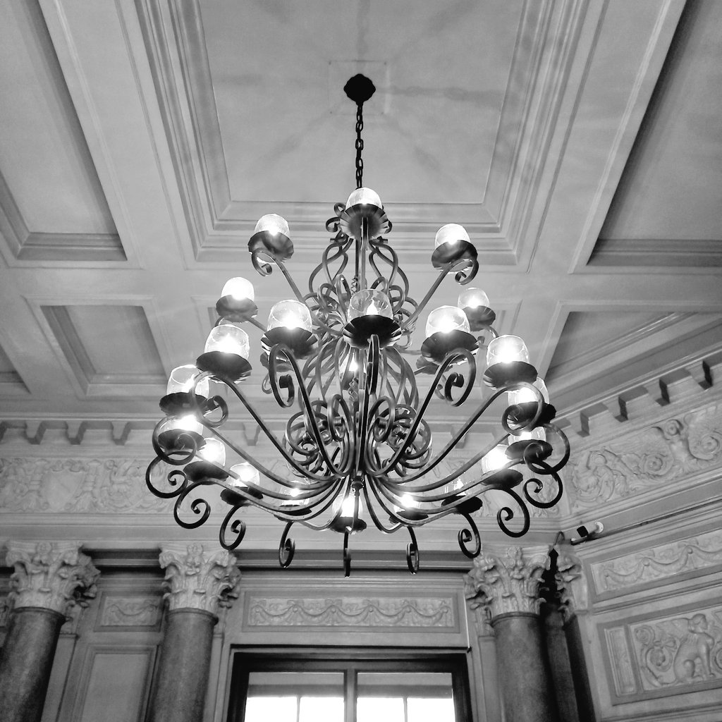 🗑insecure_alter🗑 tweet media