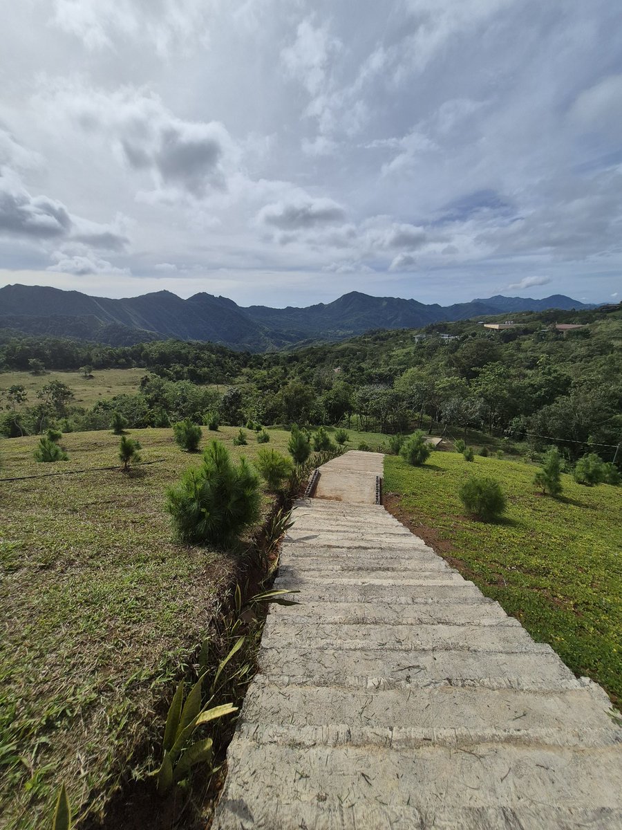 froggie 🐸 tweet media