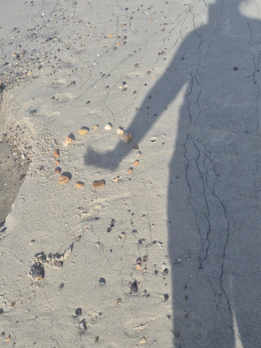 froggie 🐸 tweet media