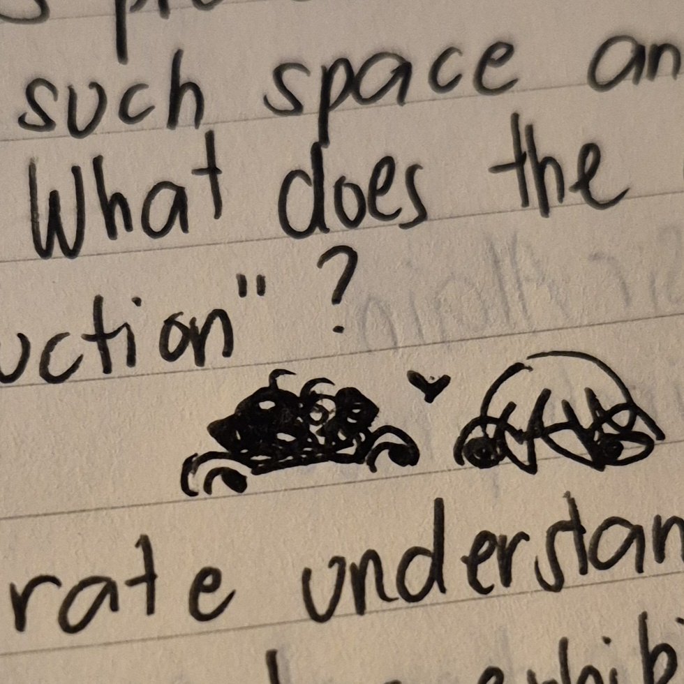 froggie 🐸 tweet media